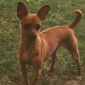 Meet your Posher, Lena